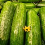 Cosa succede quando mangiare sano non è una questione di cavoli e avocado, ma di convenienza economica: come nutrirsi correttamente senza danneggiare il portafogli cosa-succede-quando-mangiare-sano-non-e-una-questione-di.jpg